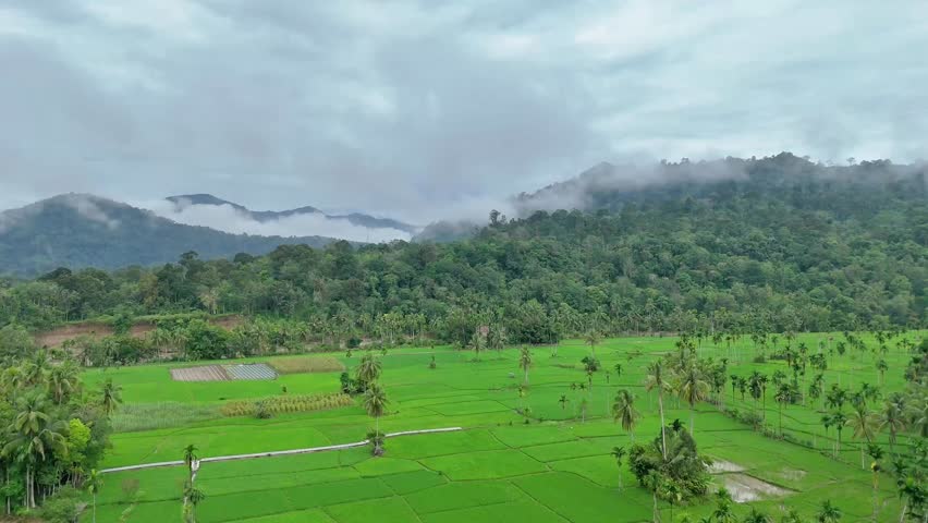 Beautiful green rice fields with majestic mountains in the background under a clear blue sky. Peaceful rural landscape in tropical Indonesia, perfect for travel, nature, and agriculture themes.
