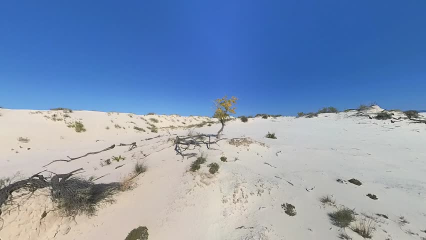 Expansive Dunes of White Sands National Park Under Clear Blue Sky With Wind-Sculpted Ripples And Wide Horizon, New Mexico, United States.