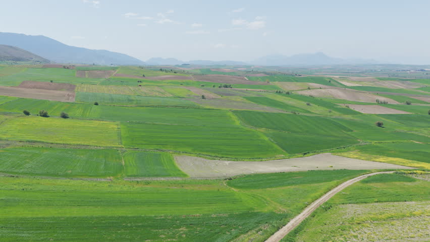 Vast expanse of green agricultural fields forming a patchwork pattern in a rural valley, with distant mountains under a clear blue sky, showcasing a beautiful and serene countryside landscape