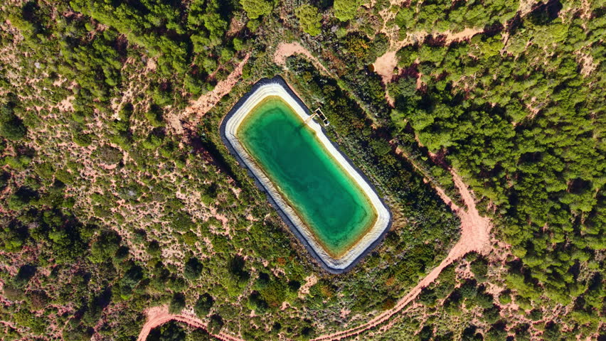 A pond with green water is located in a rural area surrounded by trees and dry land during daytime. The clear view shows the contours of the pond and its natural setting.