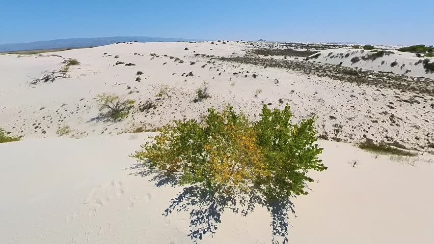 Expansive Dunes of White Sands National Park Under Clear Blue Sky With Wind-Sculpted Ripples And Wide Horizon, New Mexico, United States.