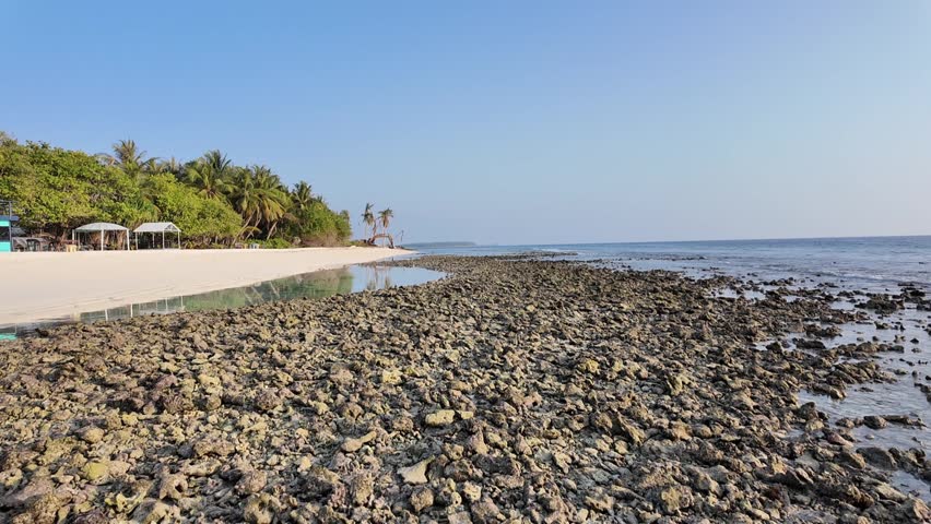 A vibrant tropical beach showcases palm trees, white sand, and a boat near the clear water.