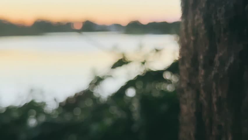 A still lake stretches beneath a fading evening sky where warm gold and soft apricot tones meet a pale blue upper gradient. The distant treeline forms a dark silhouette across the horizon, gently mirrored in the smooth water below. Foreground grasses and leafy plants appear in shadow, creating layered depth against the luminous surface. Subtle ripples soften the reflection near the center, while shallow patches of aquatic growth emerge along the left side of the water. The sky transitions evenly from light amber near the horizon to muted pastel above, emphasizing the quiet balance between land and water. The composition highlights natural contrast between dark vegetation and glowing reflection, focusing on calm atmosphere, open space, soft color transitions, and the serene presence of a lakeside landscape at dusk.