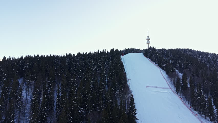 In a winter scene, a large slope covered in snow leads up to a tall tower on a mountain. Surrounding the slope are dense green trees. The sky is clear and bright.