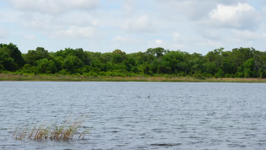 Landscape of Lake Rogers Park in Odessa, Florida, close to Tampa