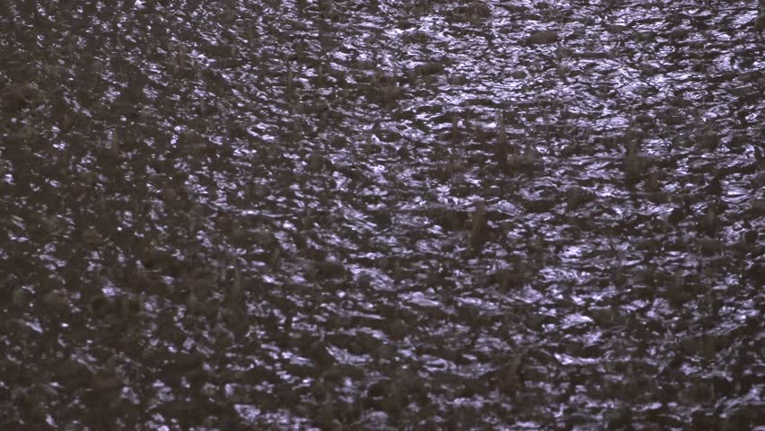 Raindrops falling into a puddle