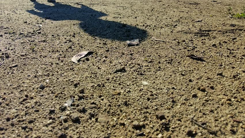 Close up of feet walking on dry gravel path in sandals summer outdoor adventure travel loop