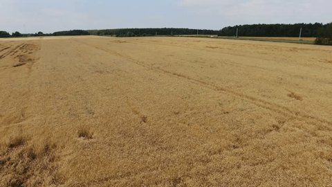 Drone Flying Backward Rising over Rural Farmland