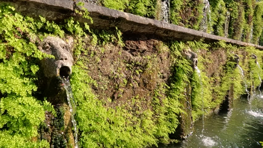 Water flows from an ancient carved stone gargoyle fountain surrounded by lush green ivy and moss on a historic wall in Tivoli, Rome, Italy.