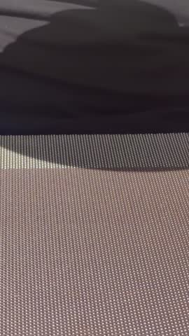 Adult diner eating creamy salmon pasta with lemon slices at an outdoor restaurant table on a sunny day.