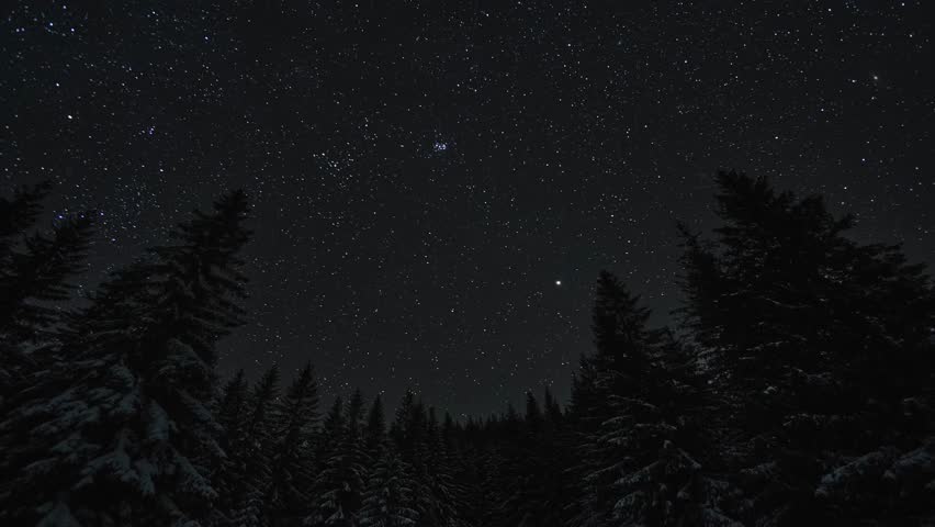 Epic Winter Night Starry Sky and Snow-Covered Forest Illumination