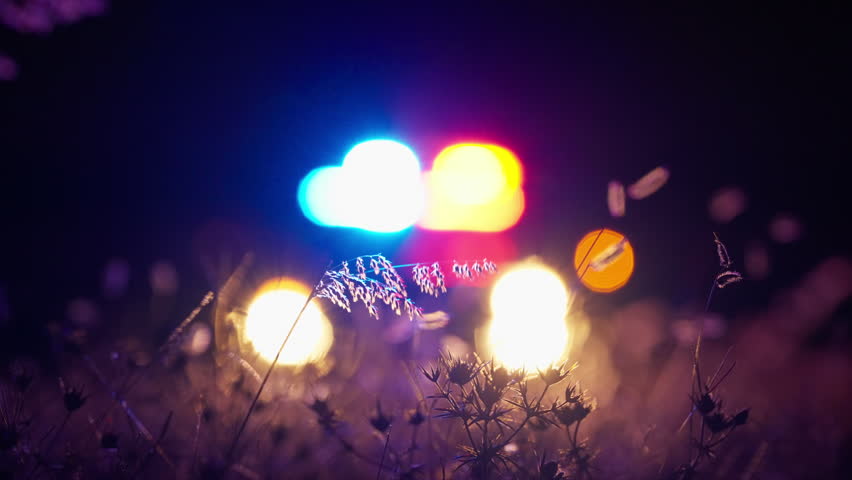 Police car with flashing red and blue emergency lights parked at night. Focus on foreground wild grass and plants while vehicle remains in soft bokeh blur creating cinematic depth