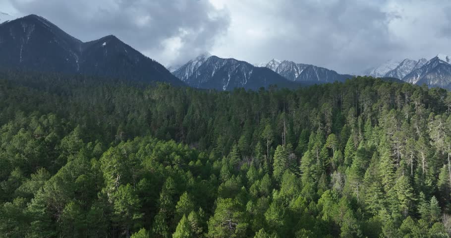Aerial view of beautiful high altitude snow capped mountain and forest landscape	