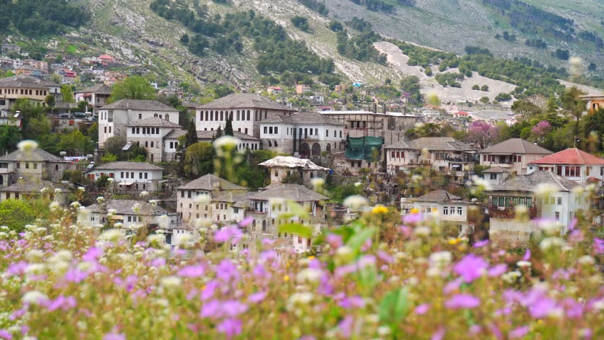 The historic traditional Ottoman stone houses of Gjirokastra, Albania.Busy bees actively collecting sweet nectar from vibrant pink and white blooming spring wildflowers.