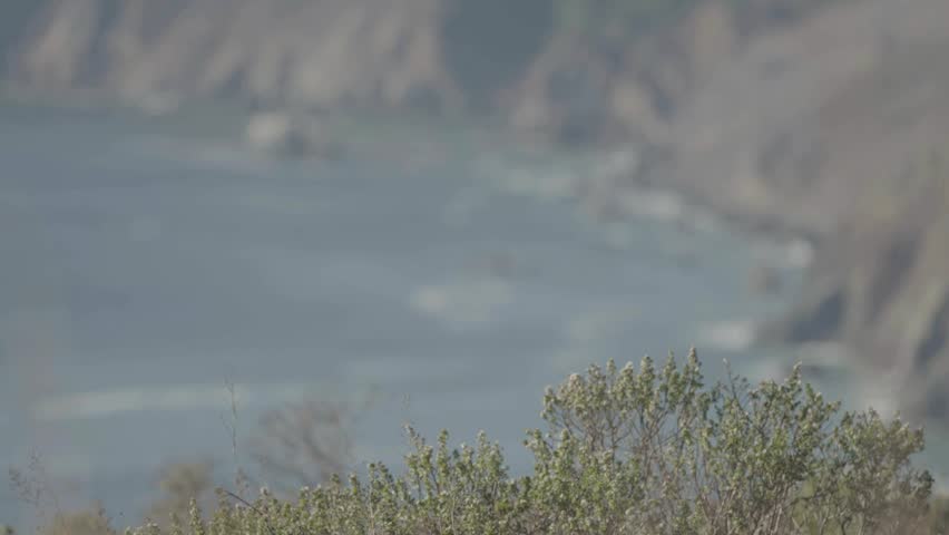Rocks near cliff by the sea with plants foreground, San Francisco