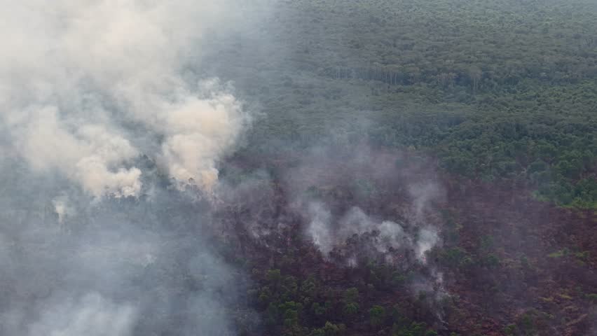 Aerial view shows smoke rising from a forest fire. Smoke drifts through green trees and burnt earth