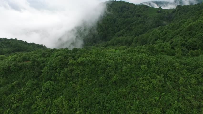 Aerial village houses in scattered settlements in clouds over rainforest in Black Sea Turkey. Mist drifts above green hills remote villages and lush mountain scenery amid rugged highlands. The scene adds strong value for heritage, archaeology, architectural history, and regional destination searches with clear location character.