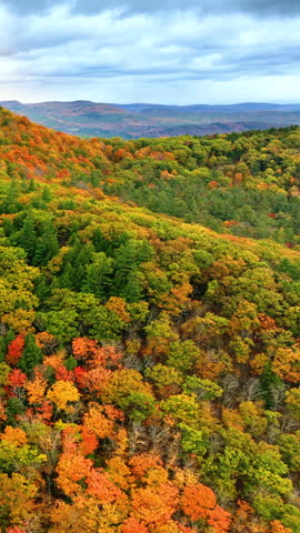 Aerial view of a peak autumn colors with a mix of green evergreens and colorful deciduous trees. Rolling hills covered in colorful autumn forest. Vertical video.
