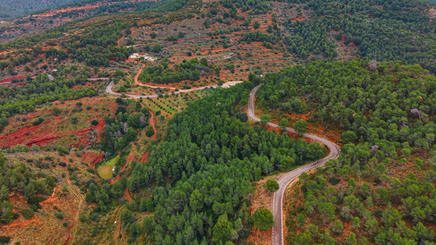 Winding asphalt road through green pine forest and red earth. Top down aerial view of a curved mountain road surrounded by dense pine trees and red soil terrain.