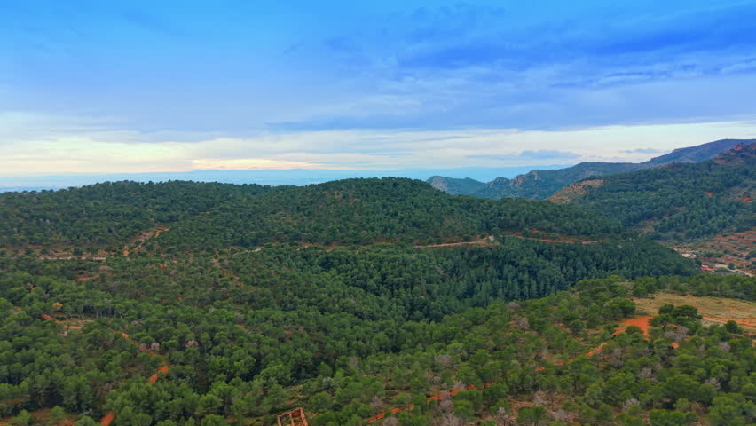 High angle view of vast green pine forest. Extensive landscape of rolling hills covered with dense pine woodland under a cloudy sky.