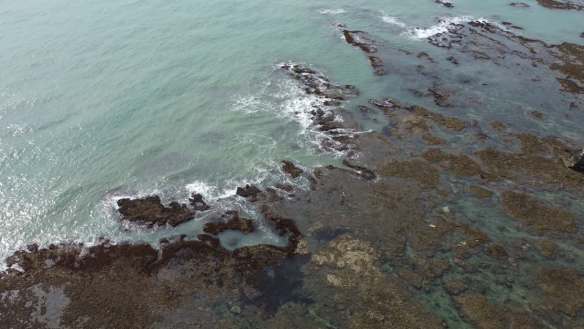 k video Aerial view of rocky beach with ocean waves and coral reef