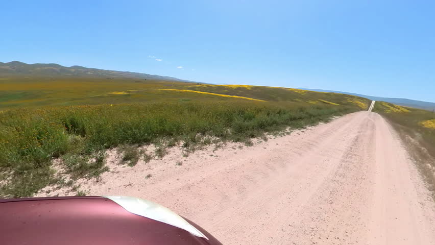 Carrizo Plain National Monument Super Bloom Off Road Driving Plate Front Left View 03 California USA