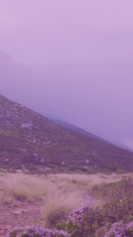 Vertical video: Faint square appearing, HUD pulsing on purple hill, rotating diamond showing data. Overlay, interface, circuitry, cyan, neon, mist, vertical video