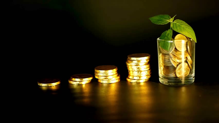 Coins stacked in ascending order with a plant growing from a glass