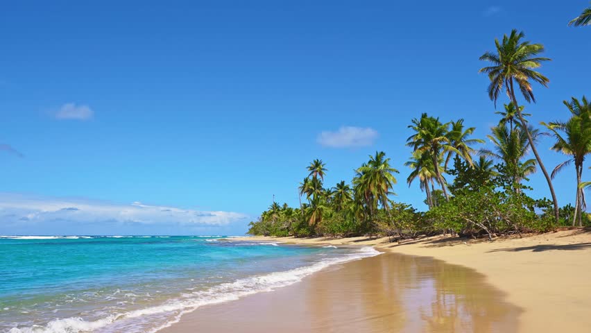 Clear blue sea waves, a beautiful beach, and tall palm trees. Summer vacation. The best beaches in the world. Aerial view of a Bahamas beach. Travel to a paradise beach. Dominican Republic, Punta Cana.