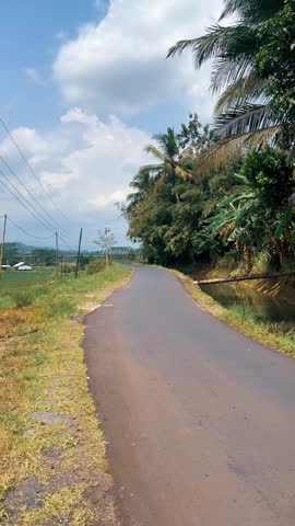 Rural Asphalt Road with Canal and Lush Green Trees