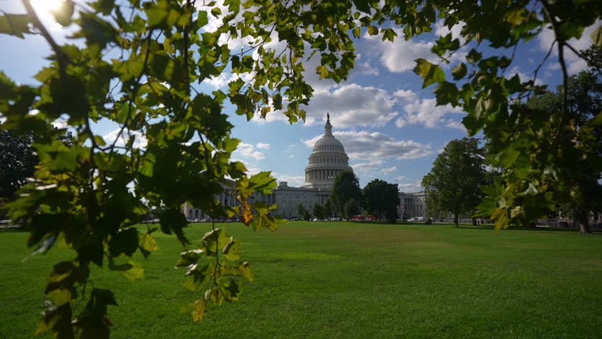 Capitol representing the Senate and House. Capitol in official government district. Capitol under morning light. Capitol monument of American history.