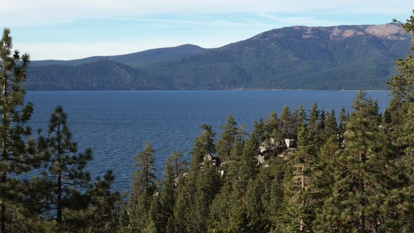 Tranquil Lake Tahoe environment with trees and scenic mountain backdrop