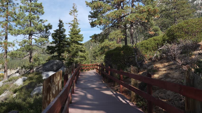 Forest Path with Wooden Railings in Mountain Landscape