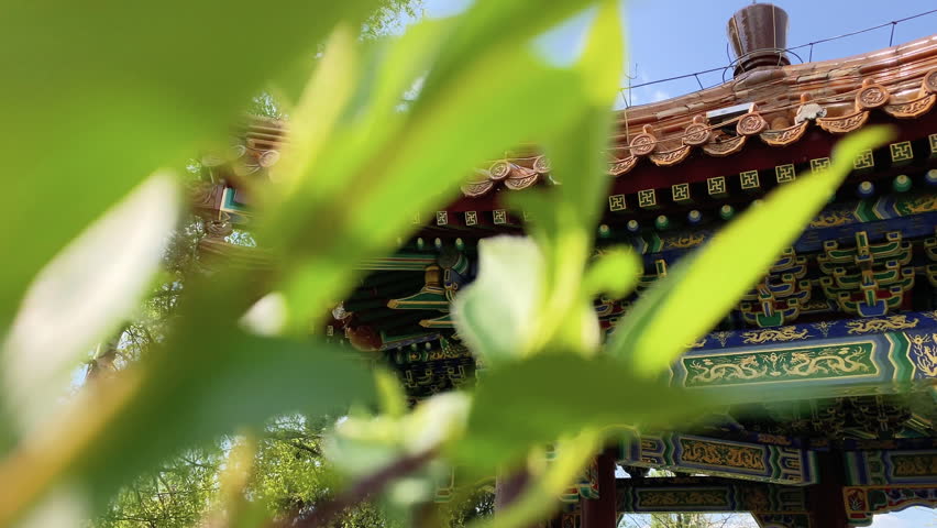 This stock video features zoom in footage of a Chinese pagoda through the leaves. This video will look great in any video project that relates to China, Asia, etc...