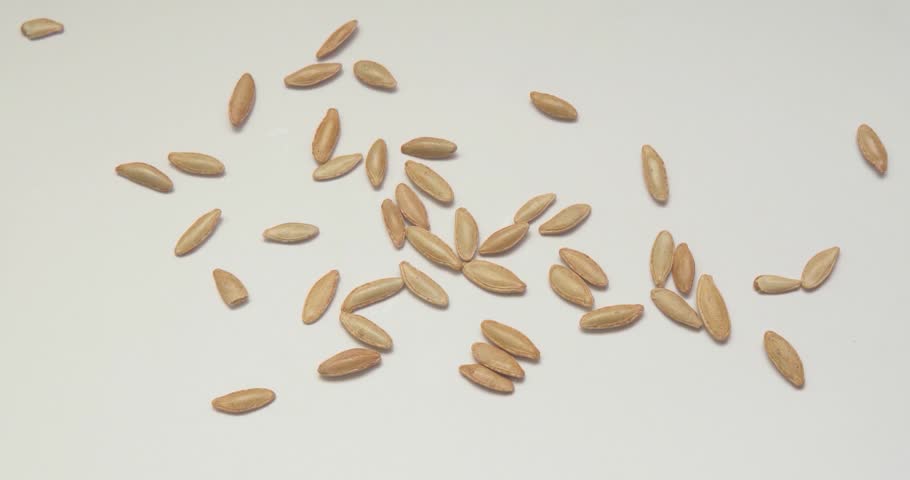 pumpkin seeds on white background	
