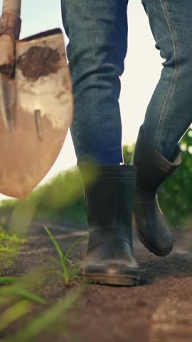 A man walks along a dirt path in rubber boots. The setting includes green fields and sunlight illuminating the scene, highlighting the man