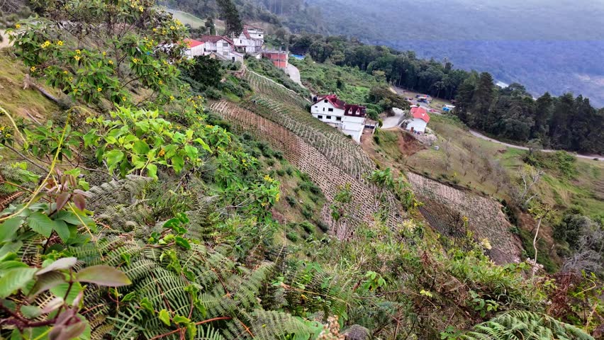 handheld wide shot of lush green mountainsides with traditional terraced crops and German-style houses under a misty sky.