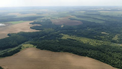 Drone Zooming toward Fields Forest Landscape