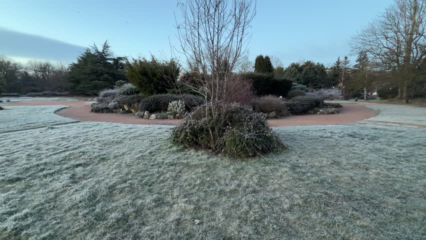 Cold morning frost covers the grass and decorative garden bushes. Tall trees stand against a clear sky as the path winds through the quiet landscape. The scene feels refreshing, still, and very calm.