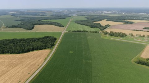 Drone Flying Backward High above Corn Field