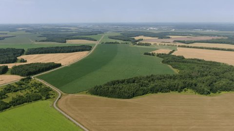Drone Flying Forward Descending toward Corn Field
