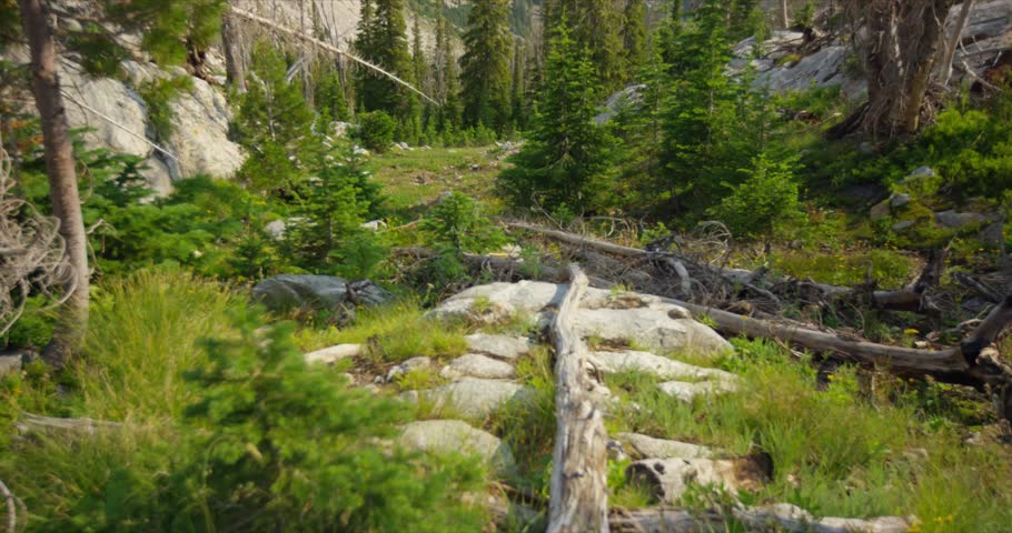 Alpine forest and rocky terrain along trail near Sawtooth Lake Idaho mountain wilderness, establishing tilt up, nobody in backdrop