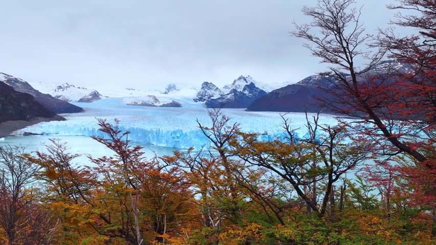 Los Glaciares National Park In El Calafate Argentina. Drone shot Of Famous Perito Moreno Glacier In Patagonia. Argentina Travel Destination with autumn forest