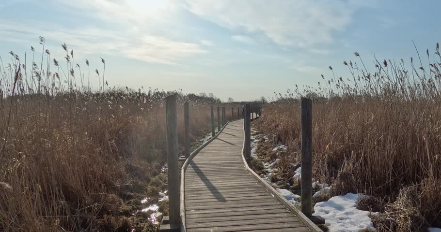 Lammassaari Nature Boardwalk passing through a wetland area in spring, Viikinranta, Helsinki, Finland, Europe.