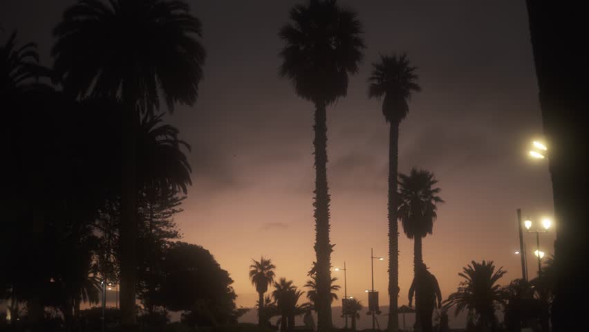 A Man Walks Around During a Fantastic Magic Hour with Palm Trees on the Background and a Colourful Sky