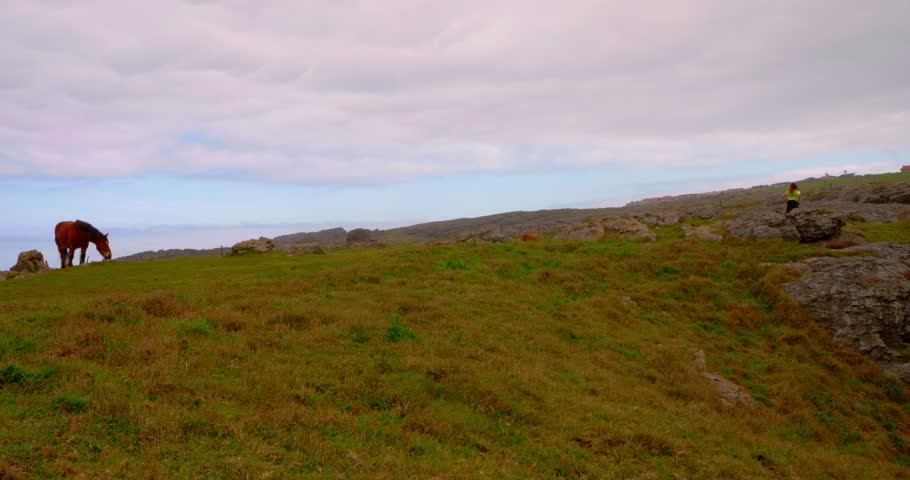 Solitary Horse on a Coastal Hillside: A lone horse grazes peacefully on a lush, grassy hillside overlooking the vast ocean below. A serene moment captured.	

