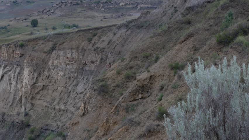 A slow panning view of the rugged badlands landscape in Theodore Roosevelt National Park, featuring layered rock formations, rolling hills, and scattered green vegetation beneath a soft, cloudy sky. The Little Missouri River winds through the terrain, adding depth and contrast to the scene. The natural textures and earthy tones highlight the dramatic erosion patterns typical of the North Dakota badlands.