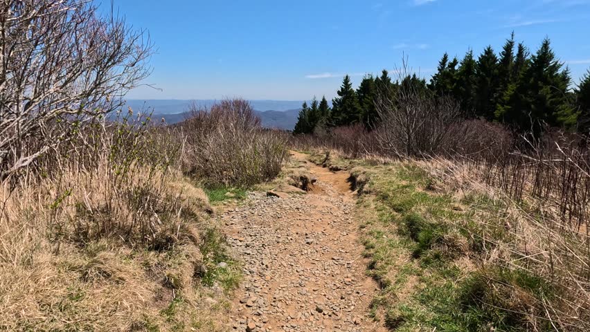 Walking along the Art Loeb Trail in Pisgah National Forest in North Carolina, April 2026