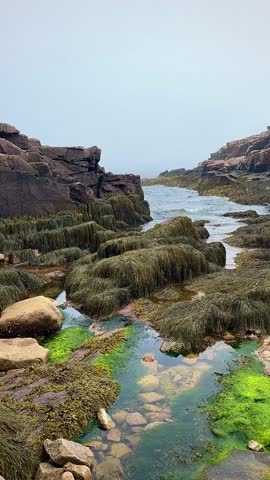 Tide Pools and Ocean Inlet Between Rocky Cliffs (Acadia National Park, Maine, USA)