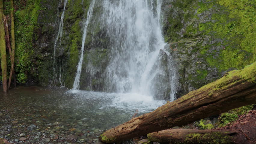 Pan Up of Madison Creek Falls in Olympic National Park